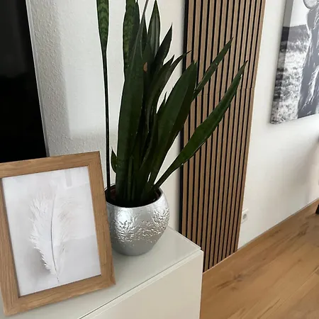 Sauerland - Traum Holiday home Winterberg