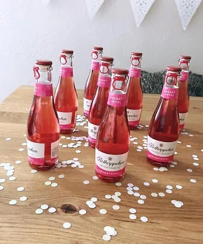 Casa de Férias Sauerland - Traum Winterberg