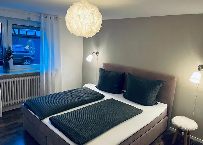 Sauerland - Traum Tatil Evi